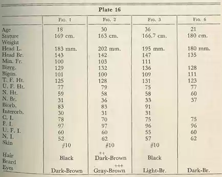Plate 16